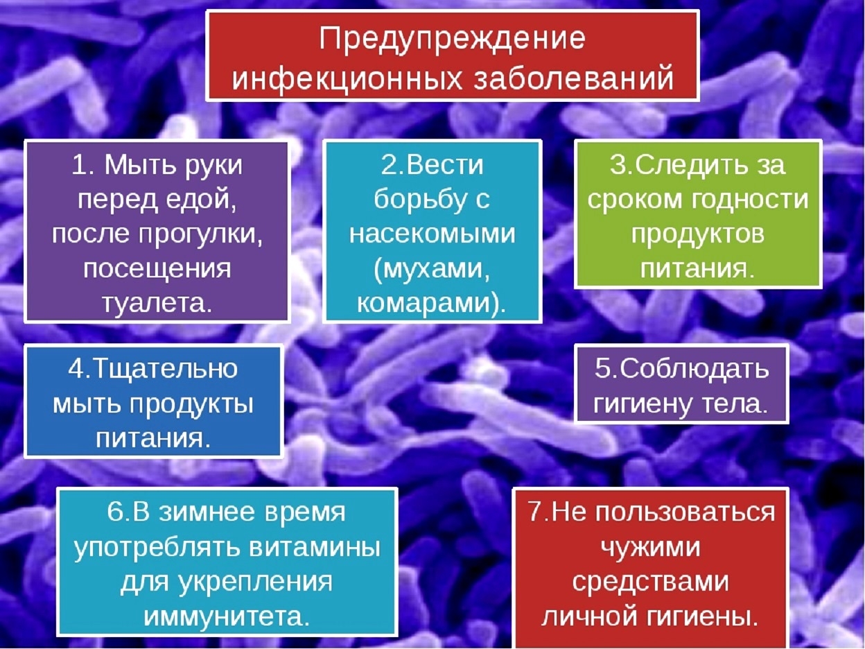 Профилактика Инфекционных Заболеваний Жкт Реферат