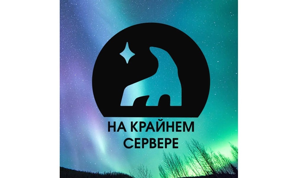 На Ямале открылся онлайн-лагерь для детей и подростков «На Крайнем Сервере»