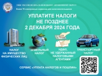 2 декабря 2024 года - срок уплаты налогов!