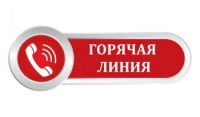 Проведение «Горячей линии»